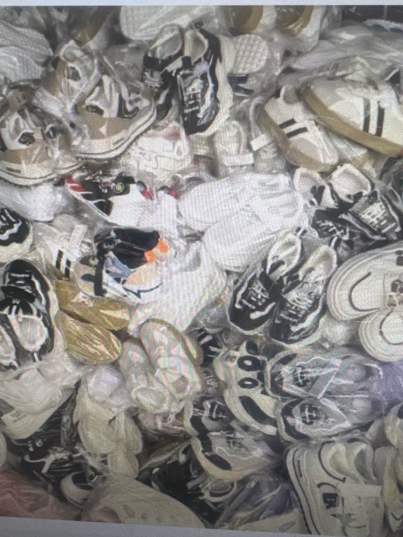 Children Mixed shoes