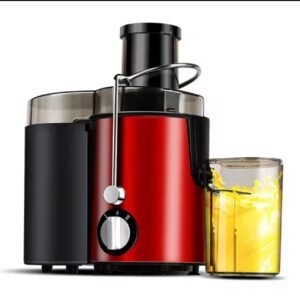 Juicer extractor
